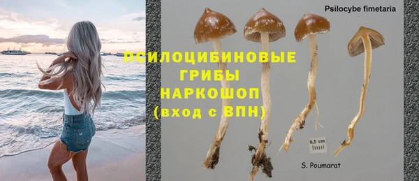 дмт Арсеньев