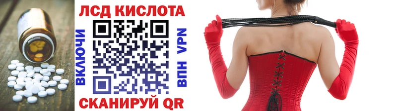где продают наркотики  Новодвинск  Лсд 25 экстази ecstasy 