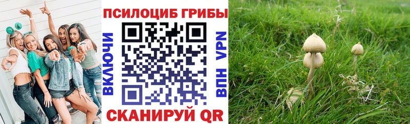 darknet официальный сайт  Новодвинск  OMG   Псилоцибиновые грибы мухоморы  продажа наркотиков 